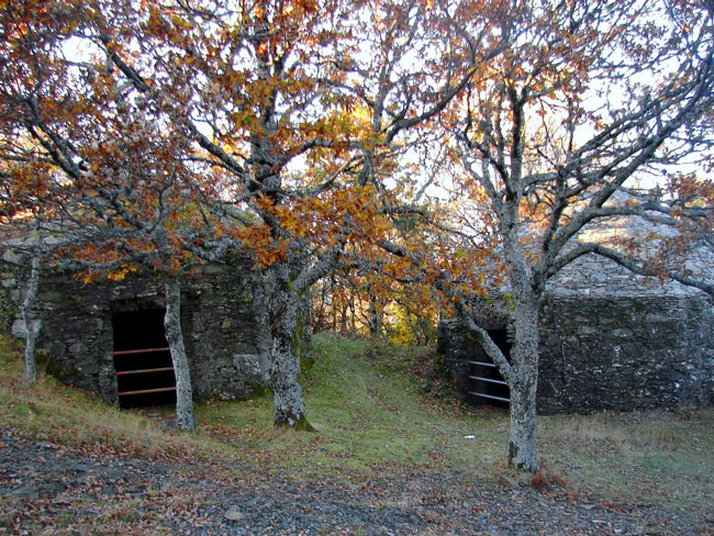 aldeia de Santo António das Neves