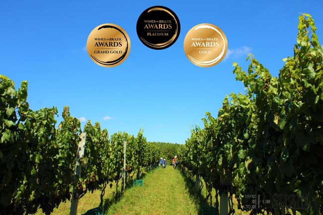 Tintos e brancos da vinícola que vale ouro no Wines of Brazil Awards vinícola que vale ouro no Wines of Brazil Awards