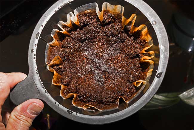 10 formas surpreendentes para aproveitar a borra de café aproveitar a borra de café