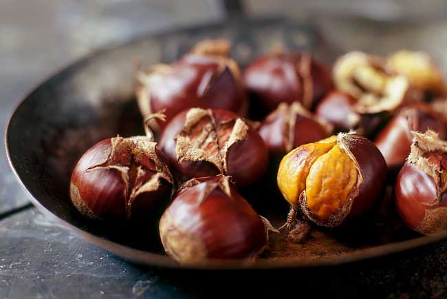 Os benefícios das castanhas para a sua saúde benefícios das castanhas para a sua saúde