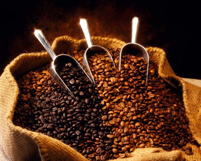 O café não é todo igual. Entenda por que deve escolher café em grãos deve escolher café em grãos