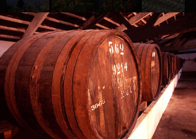 Vinho tinto nacional recebe 90 pts da reputada Wine Enthusiast Vinho tinto nacional