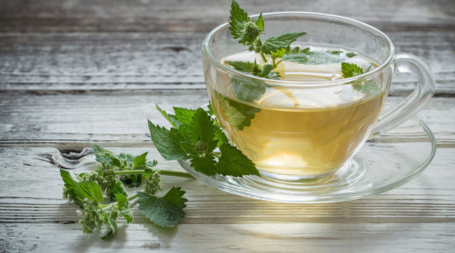 Chá de hortelã com gengibre para emagrecer e rejuvenescer Chá de hortelã com gengibre para emagrecer