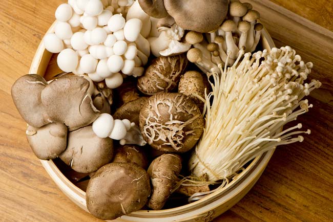 6 boas razões para comer cogumelos. Tome nota! razões para comer cogumelos
