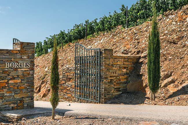 Vinho tinto nacional recebe 90 pts da reputada Wine Enthusiast Vinho tinto nacional
