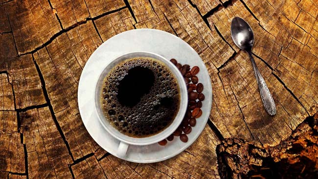 O papel de Portugal na história do café história do café