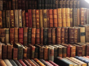 palavras portuguesas que poucos conhecem