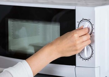 usos curiosos e úteis para o seu microondas