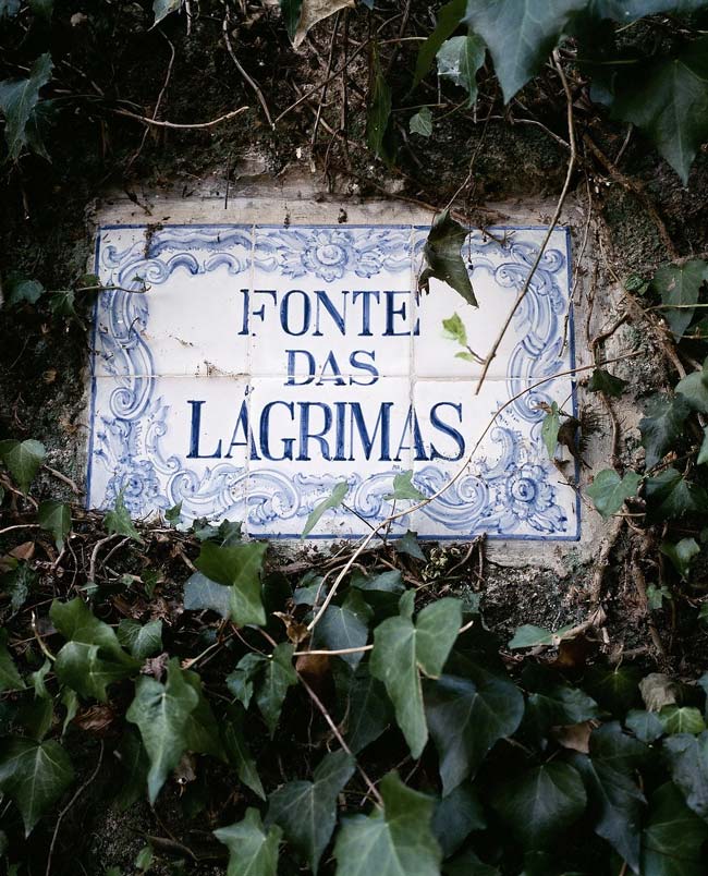 Jardins da Quinta das Lágrimas, um dos jardins mais bonitos de Portugal Jardins da Quinta das Lágrimas