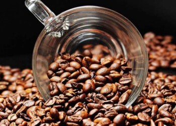 recipiente tem influência no sabor do café