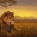 Os 6 melhores safaris em África. Tome nota! melhores safaris em África