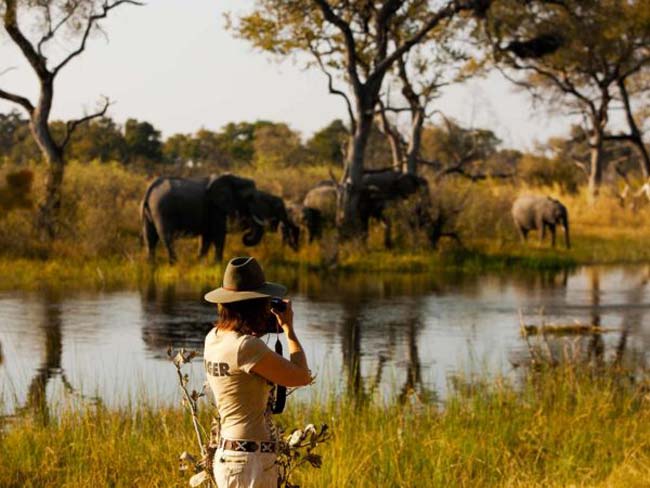 melhores safaris em África