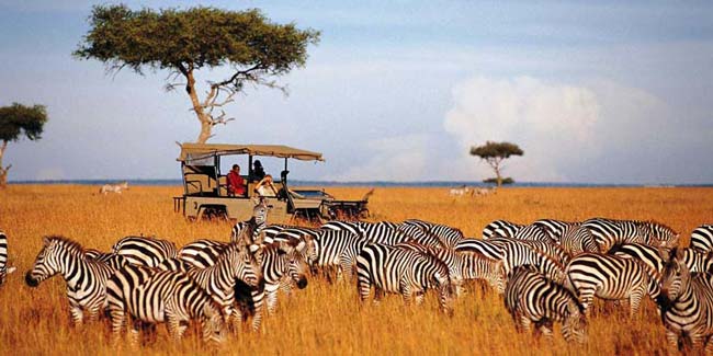 melhores safaris em África