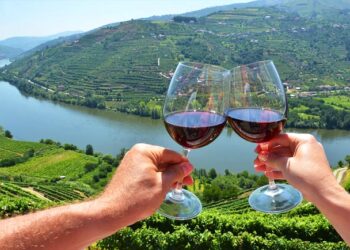 Tintos do Douro até 10 euros