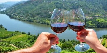 Tintos do Douro até 10 euros