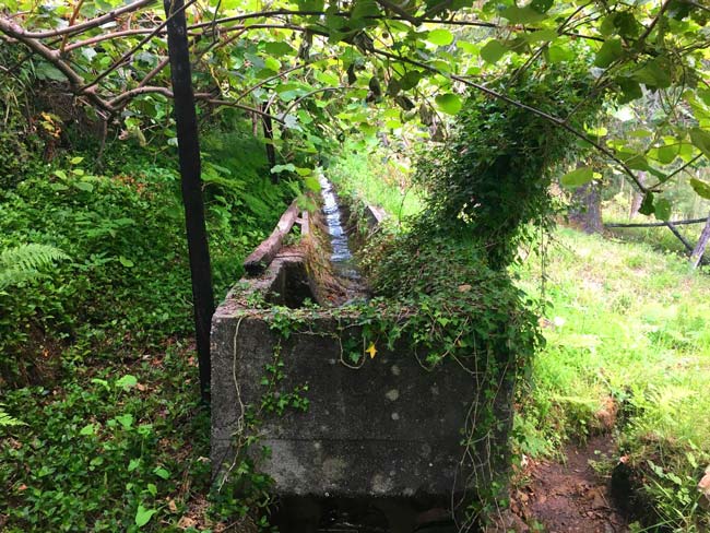 Fantásticos Passadiços do Rio Gresso em Sever do Vouga Passadiços do Rio Gresso