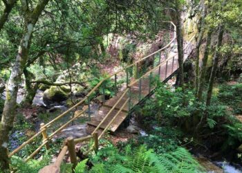 Passadiços do Rio Gresso