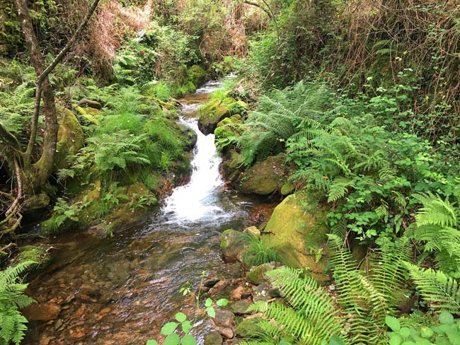 Fantásticos Passadiços do Rio Gresso em Sever do Vouga Passadiços do Rio Gresso