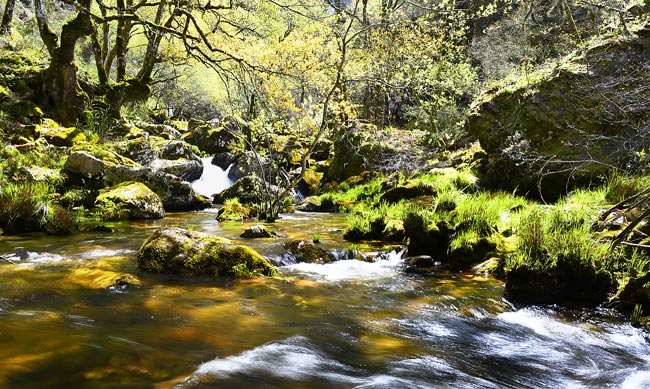 Pitões das Júnias: o que ver e fazer nesta aldeia no Gerês Pitões das Júnias