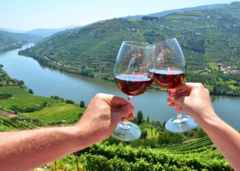 Tintos do Douro com enorme qualidade