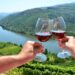 Tintos do Douro com enorme qualidade