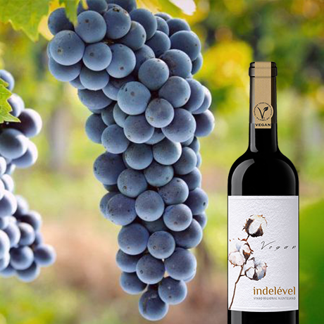 Vinho tinto vegan? Sim, mas só no LIDL Vinho tinto vegan