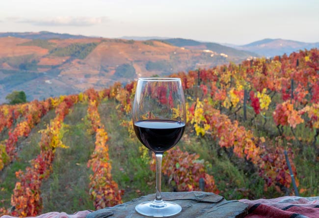 Vinho Tinto do Douro eleito melhor vinho português eleito melhor vinho português