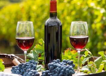 eleito melhor vinho português