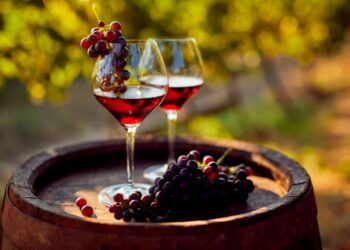 excelentes tintos do Douro