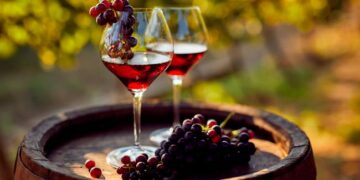 excelentes tintos do Douro