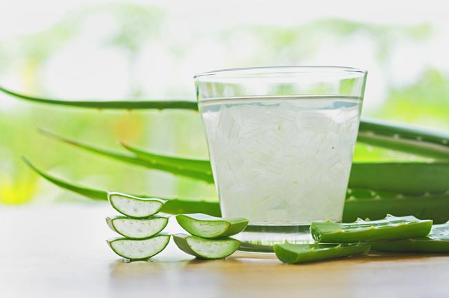 Receitas com aloé vera para a pele e cabelo. Tome nota! Receitas com aloé vera