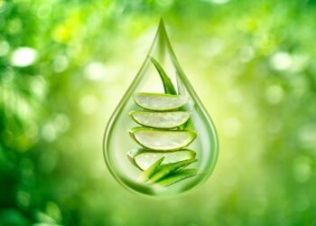 Receitas com aloé vera