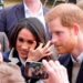 Harry compara vida na realeza a zoológico