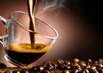 Guia completo para um café