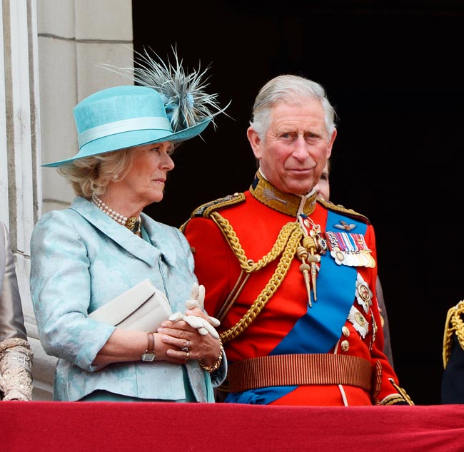 curiosidades inacreditáveis sobre a família real britânica