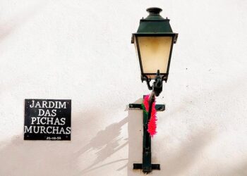 Jardim das Pichas Murchas
