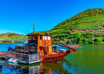 cruzeiros no rio Douro