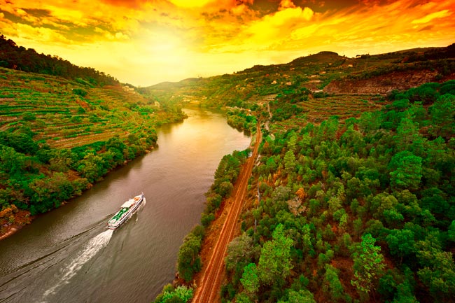 cruzeiros no rio Douro