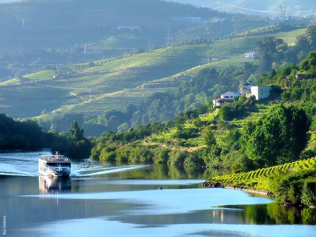 cruzeiros no rio Douro