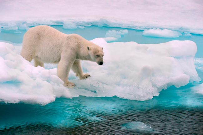 Efeitos das Alterações Climáticas: Cidades que podem desaparecer em Portugal Efeitos das Alterações Climáticas