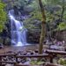 Um lugar mágico em Portugal: Cascata da Cabreia Cascata da Cabreia