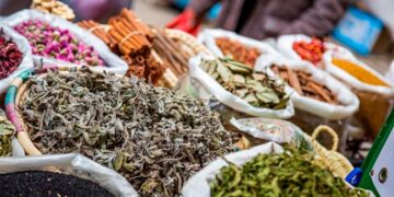 temperos com ervas e especiarias