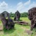 Stonehenge da Amazónia