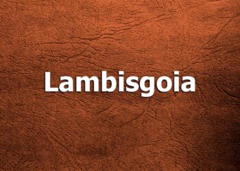 palavras que os nossos avós usavam