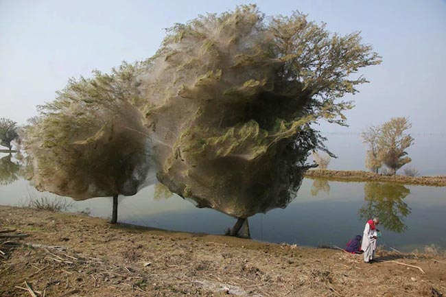 Portugal tem um dos fenómenos naturais mais incríveis do mundo fenómenos naturais