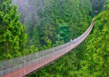 pontes suspensas mais incríveis do mundo