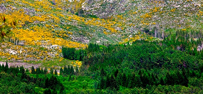 Portugal tem um dos melhores destinos verdes do mundo melhores destinos verdes