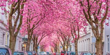 ruas mais bonitas do mundo