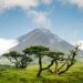 Eleitas as 10 Maravilhas Naturais de Portugal
