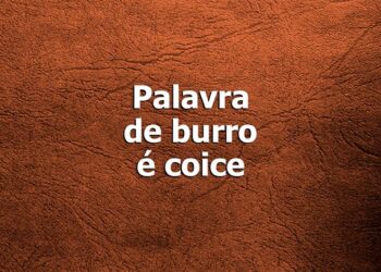 melhores Provérbios sobre palavras